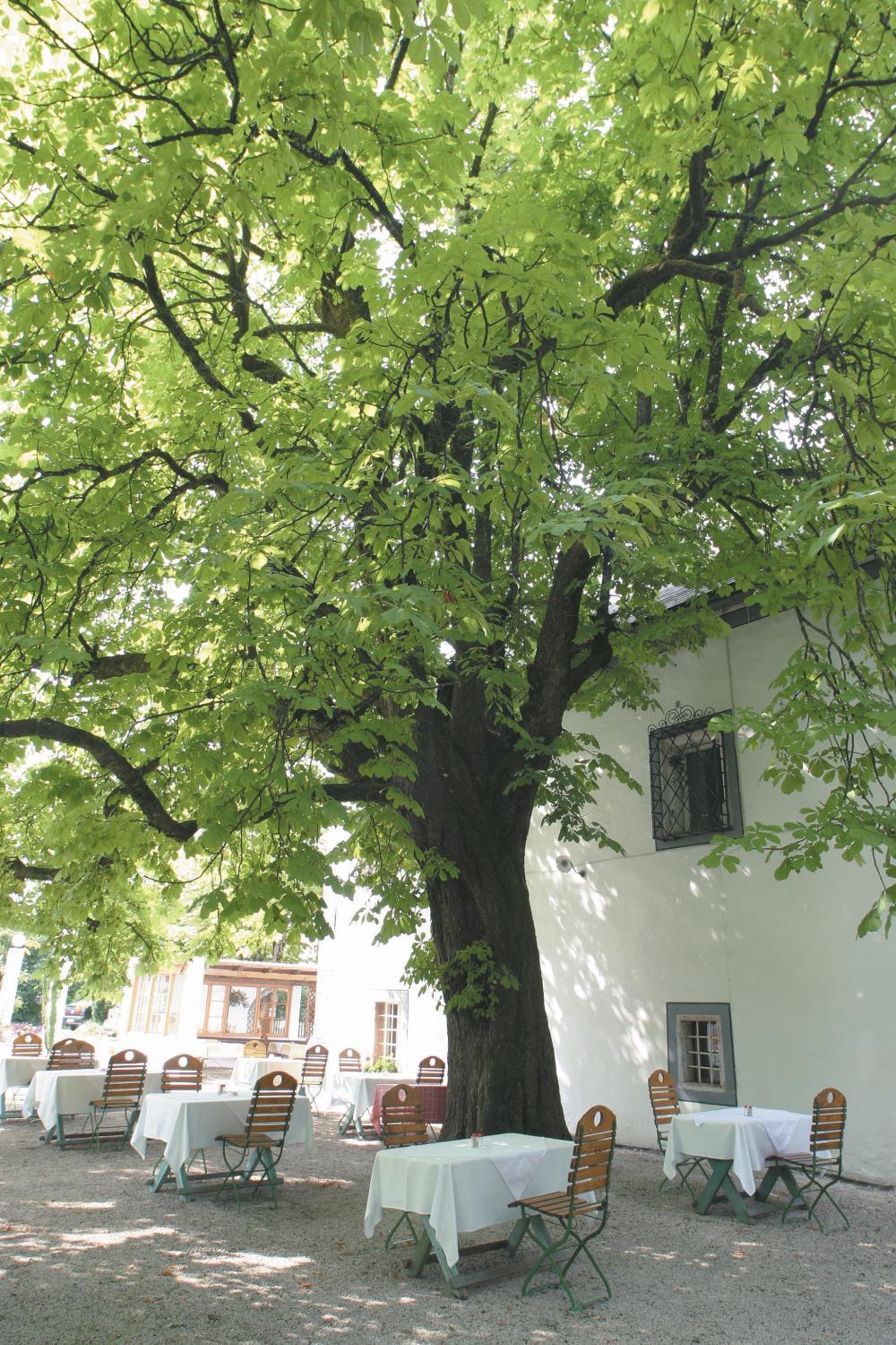 Landhotel Agathawirt Bad Goisern Kültér fotó